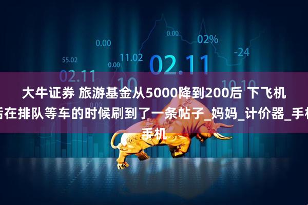 大牛证券 旅游基金从5000降到200后 下飞机后在排队等车的时候刷到了一条帖子_妈妈_计价器_手机