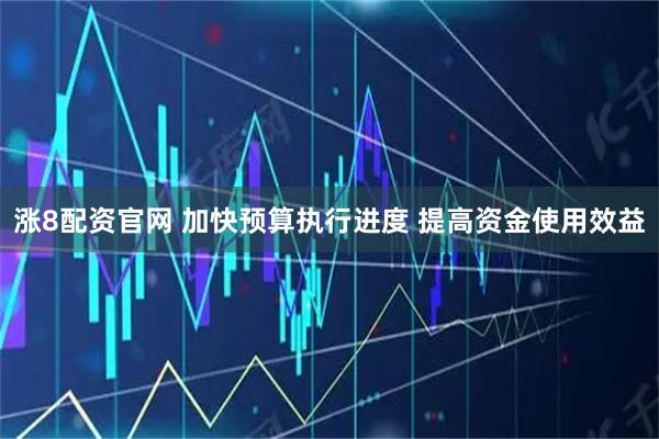 涨8配资官网 加快预算执行进度 提高资金使用效益