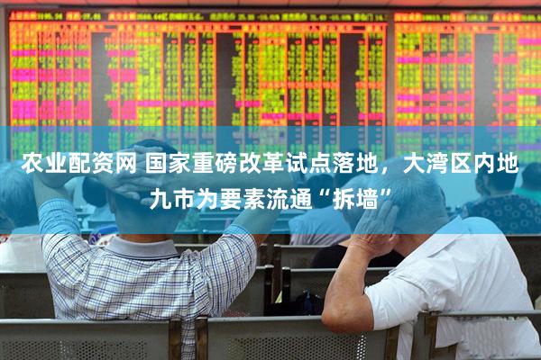 农业配资网 国家重磅改革试点落地，大湾区内地九市为要素流通“拆墙”