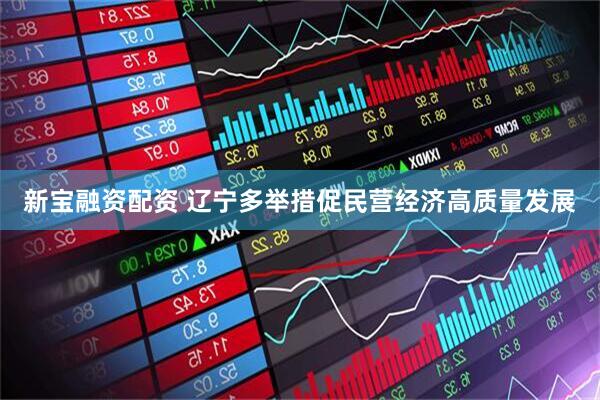 新宝融资配资 辽宁多举措促民营经济高质量发展