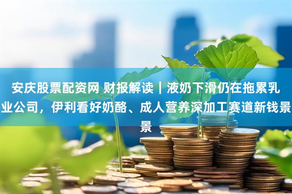 安庆股票配资网 财报解读｜液奶下滑仍在拖累乳业公司，伊利看好奶酪、成人营养深加工赛道新钱景