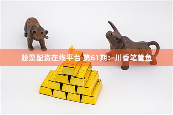 股票配资在线平台 第61期：川香笔管鱼